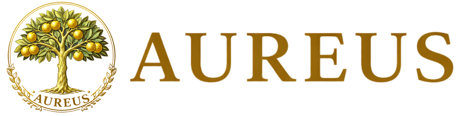 合同会社アウレウス